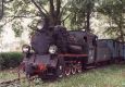 Px48-1748 z tendrem Ptx48-1733, Opalenica Wsk., 02.06.1996, foto Sven Hoyer